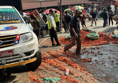 कालीमाटीमा ३० हजार किलो गोलभेँडा फ्याँकियो